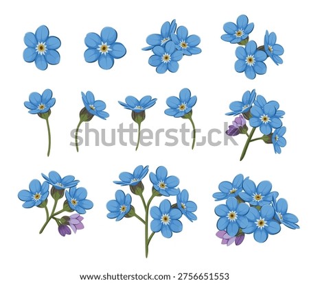 Set of forget-me-not flowers on a white background. Wild flowers. Vector illustration.
