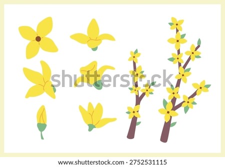 Set of forsythia flower illustrations and branches