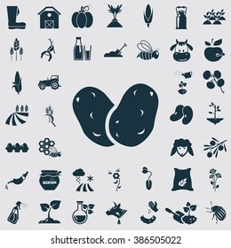 Set of forty agriculture icon