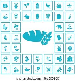 Set of forty agriculture icons