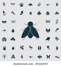 Set of forty nature icons