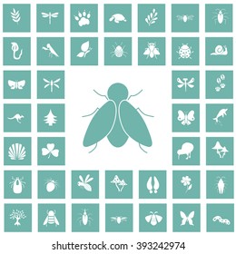 Set of forty nature icons