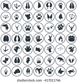 Set of forty nine animal icons
