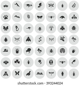 Set of forty nine nature icons