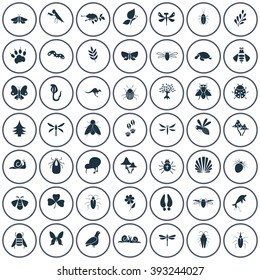 Set of forty nine nature icons