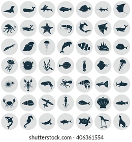 Set of forty nine sea animals icon