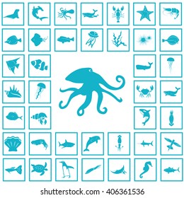 Set of forty sea animals icon