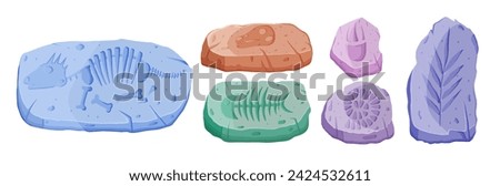 Set of fossil stones with dinosaur skeleton and paw trace. Vector arheology cartoon illustration Imagine de stoc © 