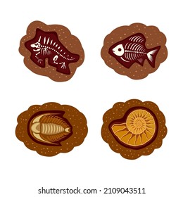 Un conjunto de fósiles. Ammonita, pescado, trilobita, dinosaurio. Icono, clipart para sitio web, aplicaciones sobre fósiles, ciencia, moluscos, biología, paleontología. Ilustración plana vectorial, estilo de dibujos animados.