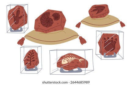 set of fossils, bones, dinosaur footprints, shells on a pillow and on stands under glass. An archaeological find. Flat color illustration. scientific projects, encyclopedias, museum exhibitions