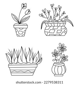 Set of four abstract flowers in pots. Doodle vector black and white illustration.