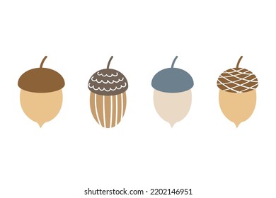 A set of four acorns for design. vector illustration