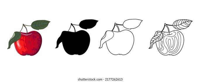 Set of four apples with leaves - red apple in cartoon style, black silhouette, doodle and outline. Vector illustration, isolated on white background