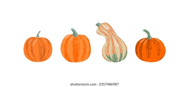 Set of four autumn pumpkins of different shapes and sizes. Farm harvest concept. Vector illustration with textures in flat style.