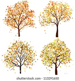 Set of four autumn tree. Vector illustration.