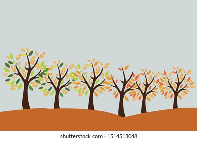 Set of four autumn tree. Vector illustration
