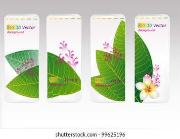 Set of four banners with eco concept, green leaves and flowers