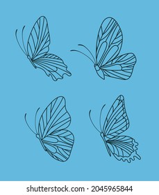 set of four beautiful butterflies