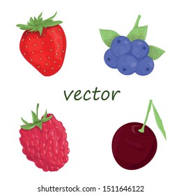 Set of four berries - raspberries, cherries, blueberries, strawberries. Realism style. Vector illustration.