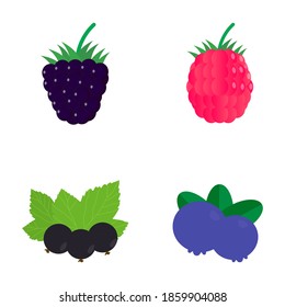 Set of four berrys. Vector illustration