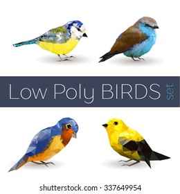 Set of four birds in low-poly colorful style. Vector illustration for your design.