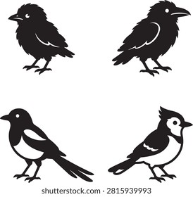 Set of four black bird silhouettes featuring crows, magpies, and jays on a solid white background for