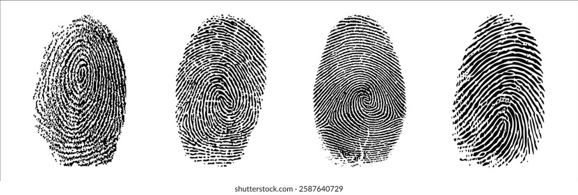 Set of four black fingerprint patterns in detailed vector illustration. Security identity concept