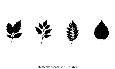A set of four black leaf silhouettes showcasing different shapes and textures, ideal for botanical, nature, and design projects.