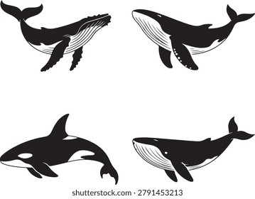 Set of four black silhouette of different whale species including orcas and humpbacks marine ocean