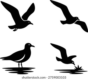 A set of four black silhouettes depicting seagulls in various poses