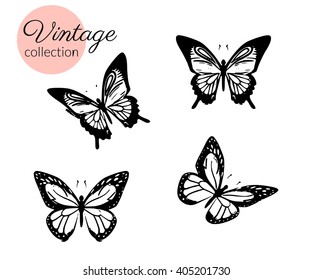 Set of four black and white butterflies silhouette with open wings isolated.