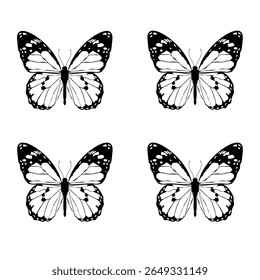 Set of four black and white butterfly with intricate wing patterns, ideal for tattoos, designs, art prints, nature-themed decor for creative projects. Minimalist high-quality vector graphics. EPS 10
