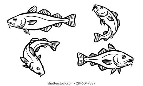 Set of four black and white cod fish illustrations