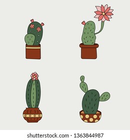 Set of four blooming cactus