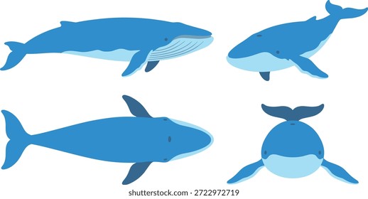 A set of four blue whales shown in different poses and perspectives, rendered in a simple, flat illustration style.