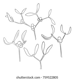 Set of four branch of hand drawn mistletoe in black on white. Christmas hand drawn elements. Vector illustration