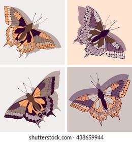 a set of four butterfly illustrations in orange and purple shades