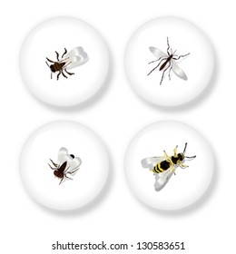 A set of four buttons with detailed drawing of flying insects. Isolated objects on white background.