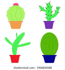 set of four cacti in flower pots