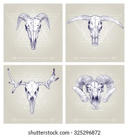 Set of four cards with skulls. Line drawing. Mystical background for your design.