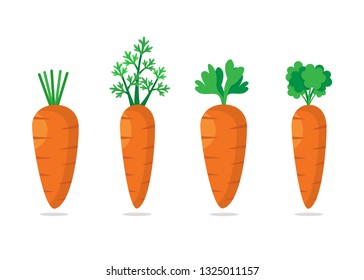 Set of Four carrots with green leaves. Sweet vegetable