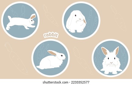A set of four cartoon characters, a white rabbit in different poses and with different emotions, a bunny with a carrot. Colored vector flat illustration sticker isolated with stroke on beige backgroun