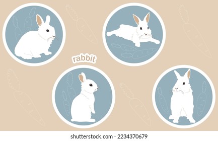 A set of four cartoon characters, a white rabbit in different poses and with different emotions, a bunny with a carrot. Colored pastel illustration stickers isolated with stroke on beige background.