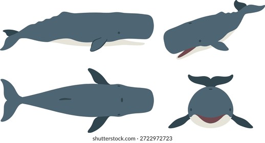 Set of four cartoon sperm whales in different poses, presented as a vector illustration with a clean, flat design.