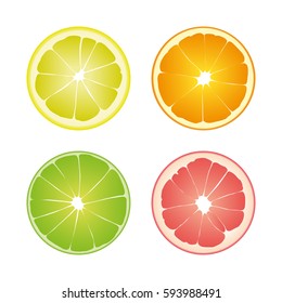 Set of four colored isolated slices of citrus: green color lime, yellow lemon, orange and pink grapefruit on white background.