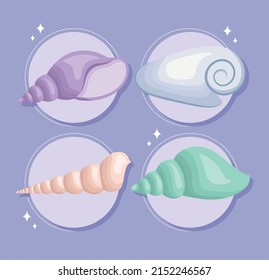 set of four colored seashell