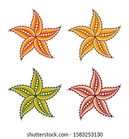 Set of four colored starfish for design. Vector illustration isolated on white background