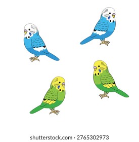Set of four colorful budgerigar parakeet birds
