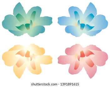 Set of Four Colorful Flowers Petals Isolated