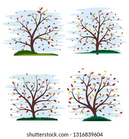 Set of four colorful stylized autumn trees. Foxes crumbled from trees. Beautiful stylized grass. Cute blue sky